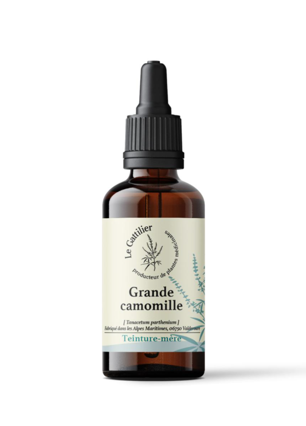 TM Grande Camomille 50ml LE GATTILIER