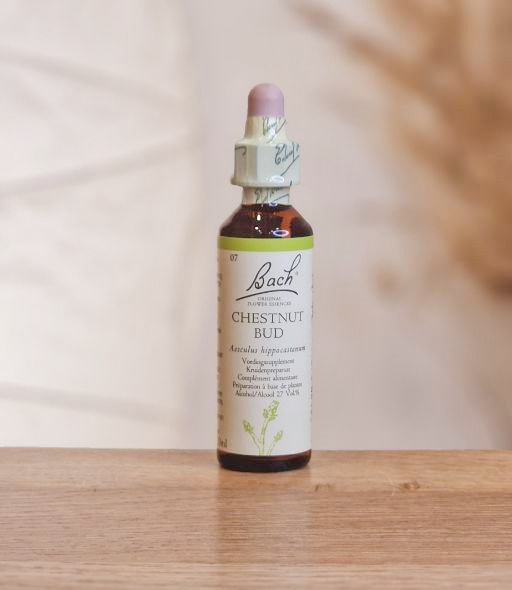 Fleurs de Bach N°07 Chestnut Bud (Bourgeon de Marronnier) 20gr BACH