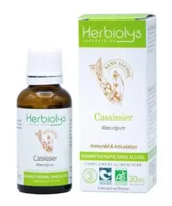 Bourgeon Cassis Bio sans alcool 30ml HERBIOLYS