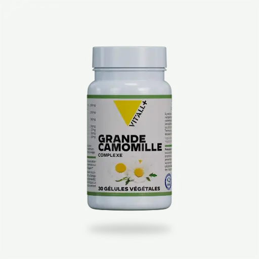 [CAMOCOMP] GRANDE CAMOMILLE complexe 30gel VIT'ALL PLUS