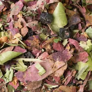 Tisane Jeunesse 50gr LE COMPTOIR D'HERBORISTERIE