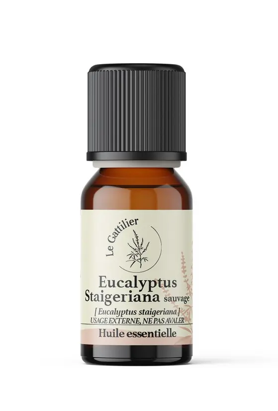 HE Eucalyptus Staigeriana 10ml LEGATTILIER