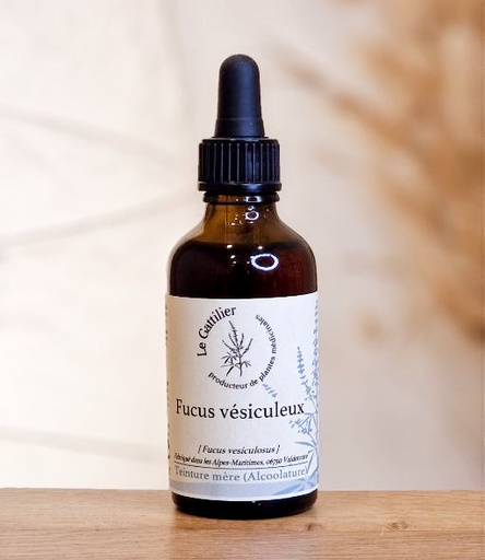 [AG00171000050] TM Fucus Vesiculus 50ml LE GATTILIER