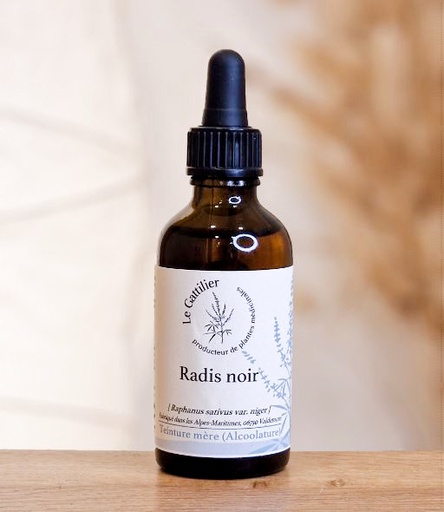 [AG00198000050] TM Radis noir 50ml LE GATTILIER