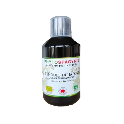 [3416387200617] Renouée du Japon (Phytospagyrie) VECTEUR ENERGY