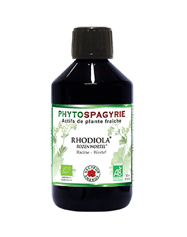 [3416387200624] Rhodiola (Phytospagyrie) VECTEUR ENERGY
