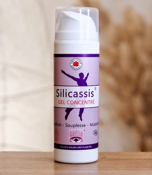 Solution Colloïdale Au Silicium Vecteur Energy BIO - Santé Os/articulations, Cassis/ortie/bambou