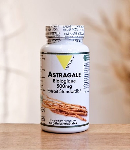 Astragale Biologique 500mg Extrait Standardisé Vit'ALL PLUS 