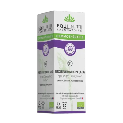 N°31 Régénération AO - Bourgeons Bio*30ml EQUI-NUTRI
