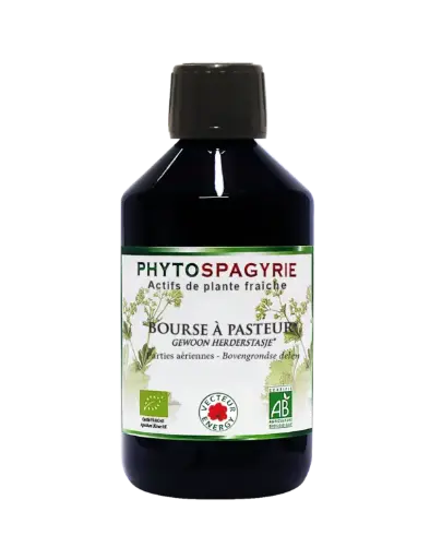 Bourse à Pasteur 300ml (Phytospagyrie) VECTEUR ENERGY